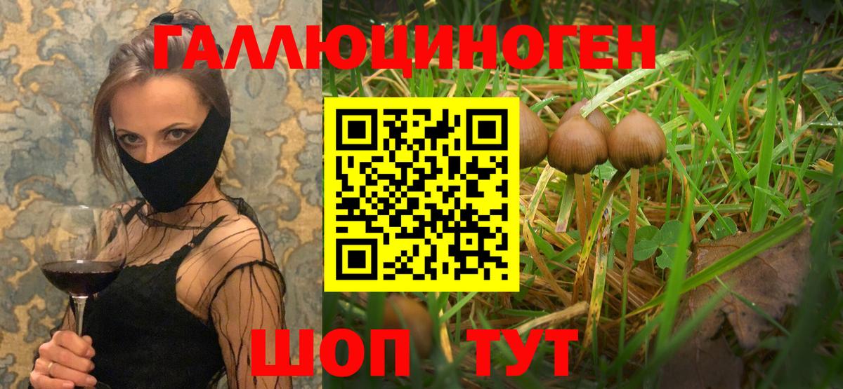 Арзамас  Псилоцибиновые грибы мухоморы  Вход с VPN 